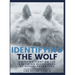Identifying The Wolf: Shedding Light on the Grooming Behaviours of Sexual Predators
