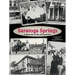 Saratoga Springs; a Memoir of the 40'S and 50'S