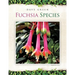 Fuchsia Species