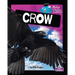 Crow