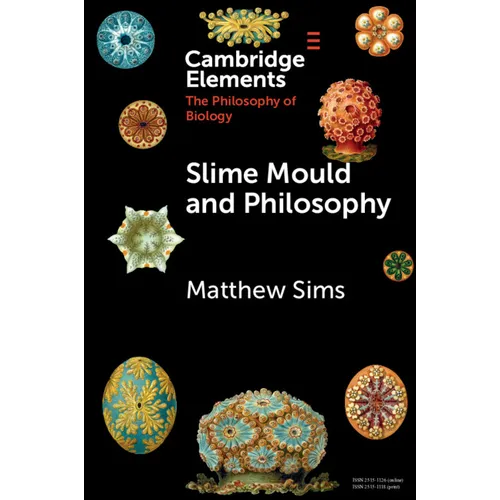 Slime Mould and Philosophy
