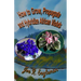How to Grow, Propagate and Hybridize African Violets