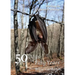 50 Days for Fifty Years: Walking the Camino de Santiago