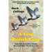 A Very British Coop: Pigeon Racing From Blackpool to Sun City