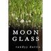 Moon Glass