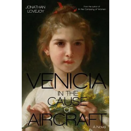 Venicia in the Cause of Aircraft