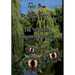 Tales from the Dark Forrest 33, 34