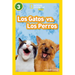 Los Gatos vs. Los Perros