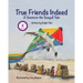 True Friends Indeed: A Seemore the Seagull Tale