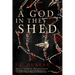 A God in the Shed