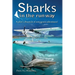 Sharks in the Runway: A Seaplane Pilot's Fifty-Year Journey Through Bahamian Times!