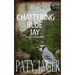 Chattering Blue Jay: Gabriel Hawke Novel