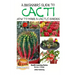 A Beginner's Guide to Cacti - How to Make a Cactus Garden