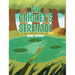 The Cricket's Serenade