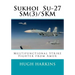Sukhoi Su-27SM(3)/SKM: Multifunctional Strike Fighter from Amur