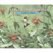 About Hummingbirds: A Guide for Children