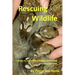 Rescueing Wildlife: A Guide to Helping Injured & Orphaned Animals