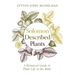 Solomon Described Plants: A Botanical Guide to Plant Life in the Bible