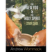 The New You and the Holy Spirit Study Guide
