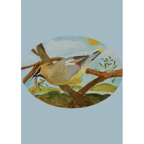 The Stone Soup Sketchbook (small): Sierra Glassman - Cedar Waxwing - unlined