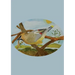 The Stone Soup Sketchbook (small): Sierra Glassman - Cedar Waxwing - unlined
