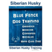 Siberian Husky By Blue Fence DOG Training, Obedience, Behavior, Commands, Socialize, Hand Cues Too!: Siberian Husky Training