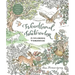 Woodland Watercolor: A Coloring Workbook