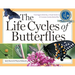 The Life Cycles of Butterflies: From Egg to Maturity, a Visual Guide to 23 Common Garden Butterflies