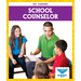 School Counselor