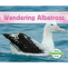 Wandering Albatross