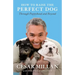 How to Raise the Perfect Dog: Through Puppyhood and Beyond