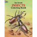 Insects Coloring Book