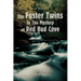 The Foster Twins In The Mystery at Red Bud Cove