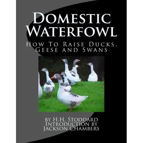 Domestic Waterfowl: How To Raise Ducks, Geese and Swans