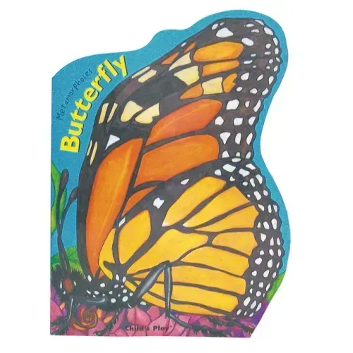 Metamorphoses: Giant Butterfly