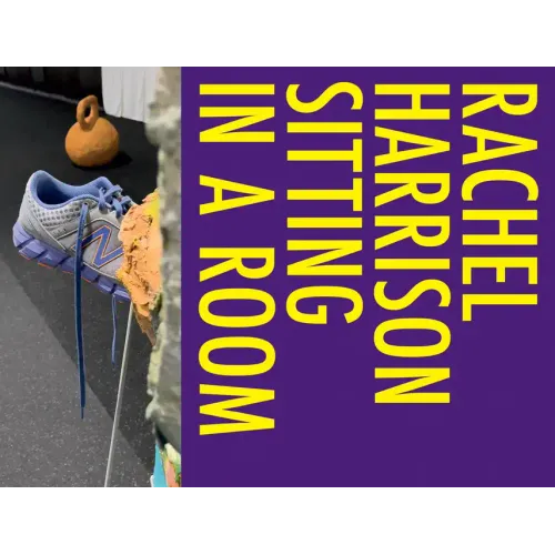 Rachel Harrison: Sitting in a Room