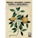 Oranges, mandarins, cedars, lemons & bergamots..: Artistic engravings of Ferrari, Aldrovrandi, Volckhamer...