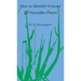 How to Identify Grasses and Grasslike Plants: Sedges and Rushes