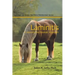 Laminitis: A Scientific and Realistic Approach