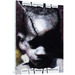 How to Make a Monster: Ugly Memories of Chicago from a South Side Escapee