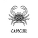 Cancer: Coloring Book with Three Different Styles of All Twelve Signs of the Zodiac. 36 Individual Coloring Pages. 8.5 x 11