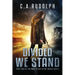 Divided We Stand: Book Four of the What's Left of My World Series