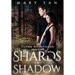 Flynn Nightsider and the Shards of Shadow