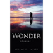 Wonder: Volume I