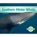 Southern Minke Whale