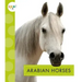 Arabian Horses