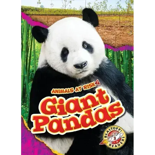 Giant Pandas