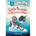 Little Penguin and the Mysterious Object