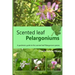 Scented leaf pelargoniums: A gardeners guide to the scented leaf pelargonium species