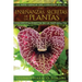 Las Enseñanzas Secretas de Las Plantas: La Inteligencia del Corazón En La Percepción Directa de la Naturaleza
